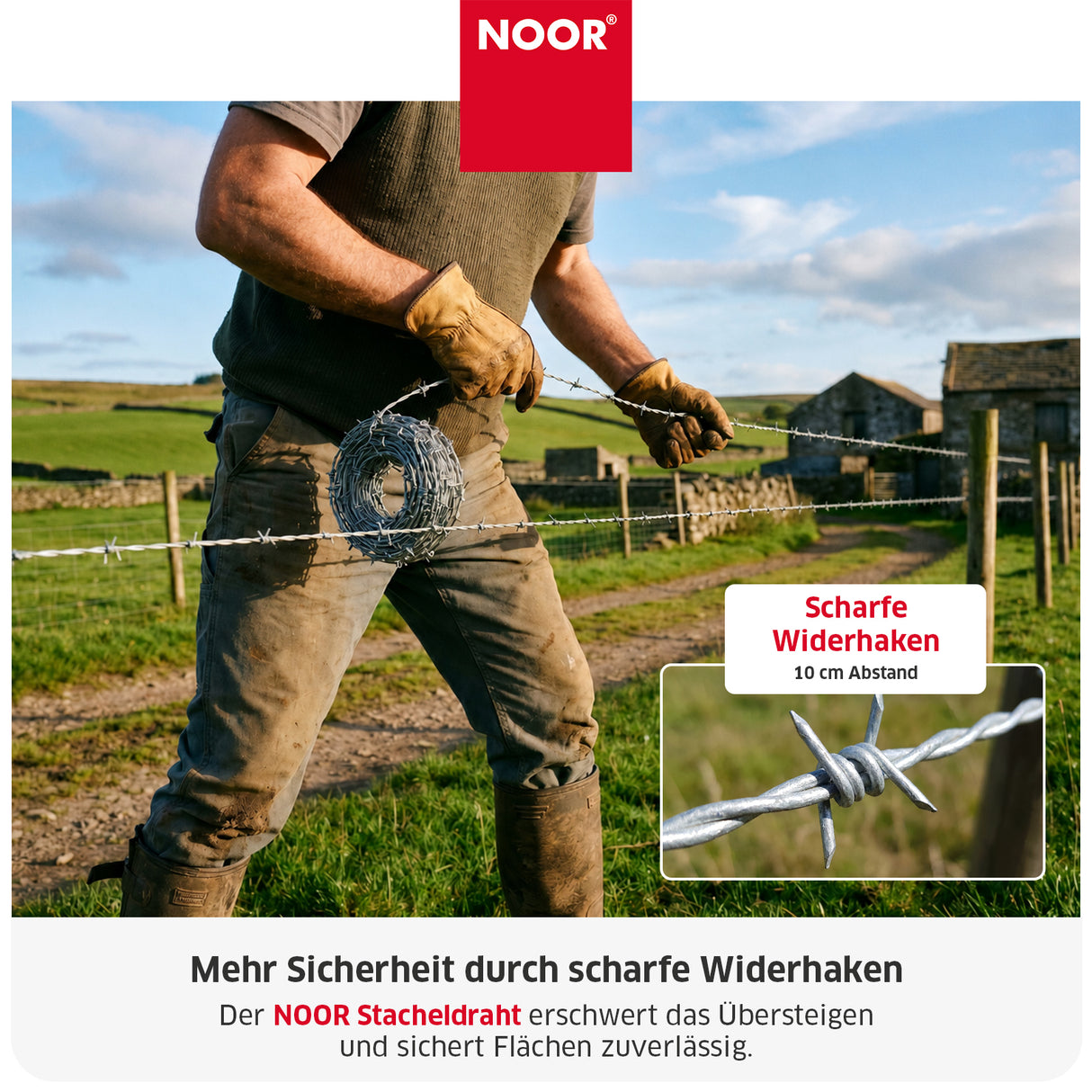 Stacheldraht 50 m
