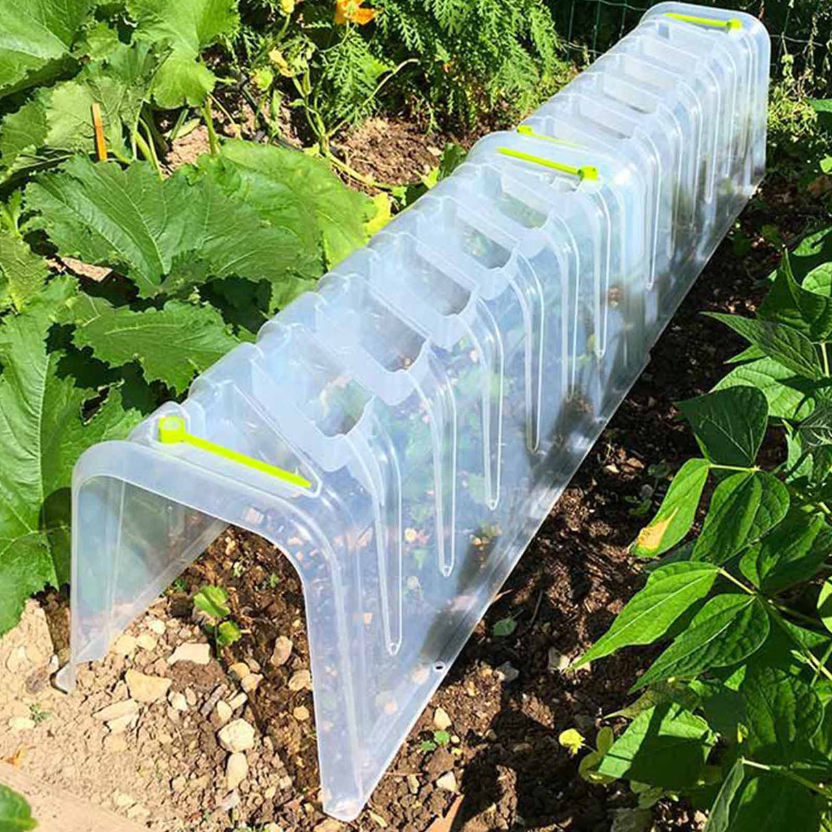 Transparenter Pflanztunnel MODULO von NOOR mit integrierten Bewässerungsmulden als modulares Mini-Gewächshaus für Beete.
