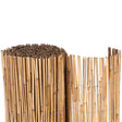 Schilfrohrmatte Sichtschutz NIZZA Rolle NOOR