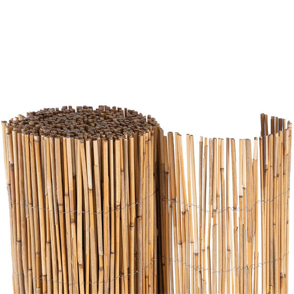 Schilfrohrmatte Sichtschutz NIZZA Rolle NOOR