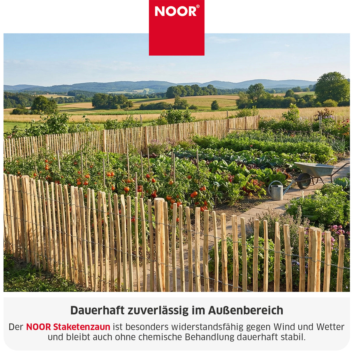 Staketenzaun - aus Berg-Haselnuss - Verschiedene Größen