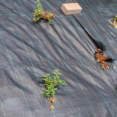 Verlegen des Unkrautblockers auf einer Beetfläche vor dem Bepflanzen und Abdecken mit Rindenmulch