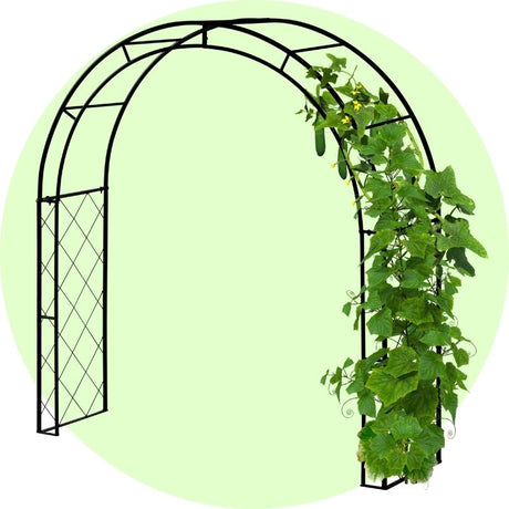 Stabiler schwarzer Metall-Rosenbogen mit dekorativem Seitengitter als Rankhilfe für kletternde Nutzpflanzen wie Gurken oder blühende Kletterpflanzen im Garten