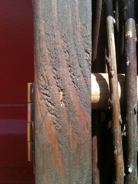 Weiden-Paravent - 4-teiliger Sichtschutz für Zuhause und Garten