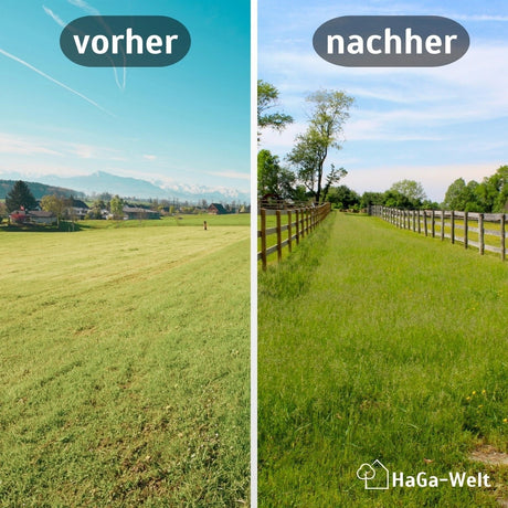 Holzpfosten, KDI-braun Vergleich Vorher Nachher HaGa-Welt bei NOOR