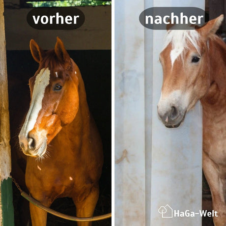 PVC-Streifen für Lamellenvorhang Vergleich Vorher Nachher HaGa bei NOOR