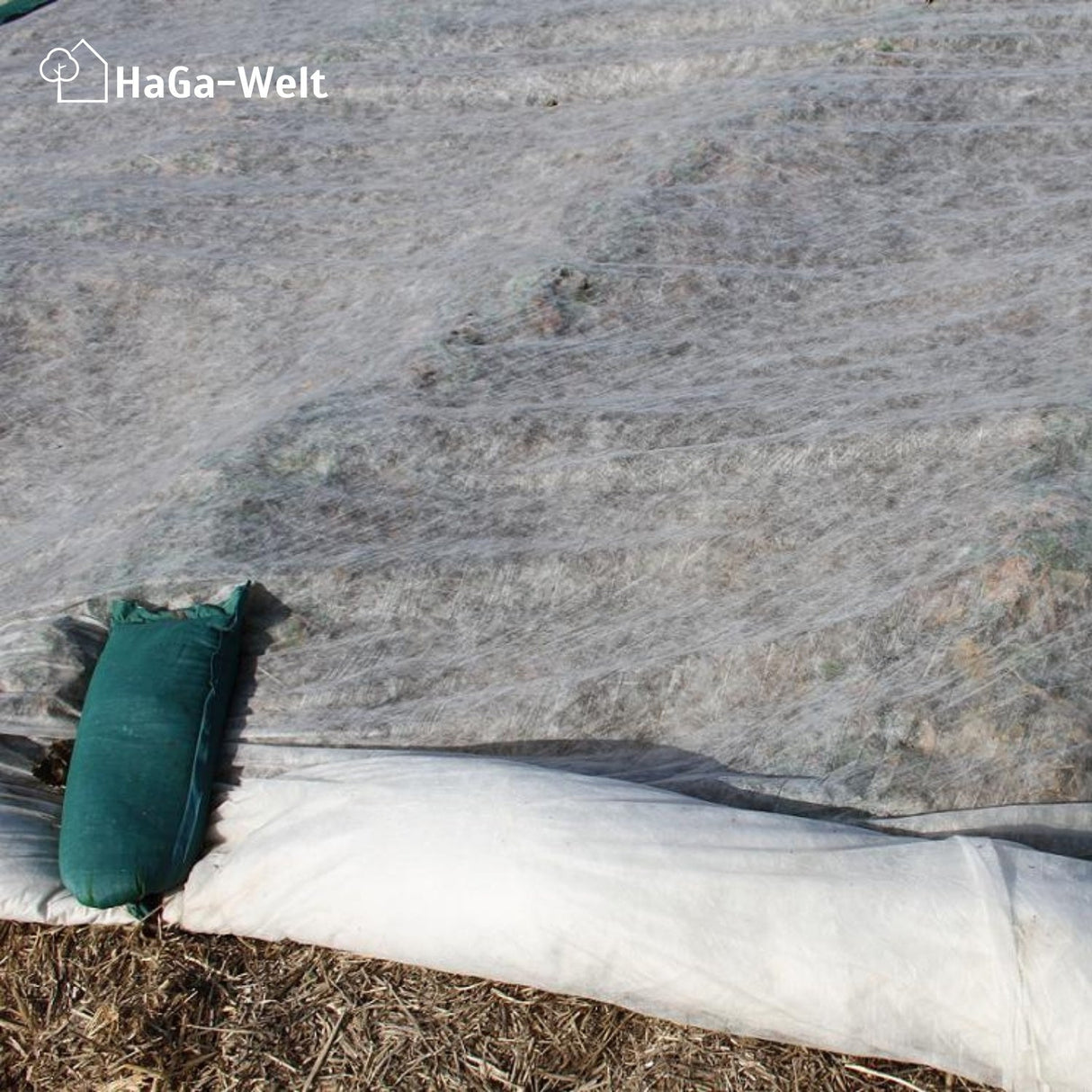 Erntevlies 19 g/m² Anwendung Nahaufnahme HaGa bei NOOR