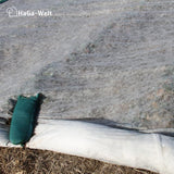 Erntevlies 19 g/m² Anwendung Nahaufnahme HaGa bei NOOR