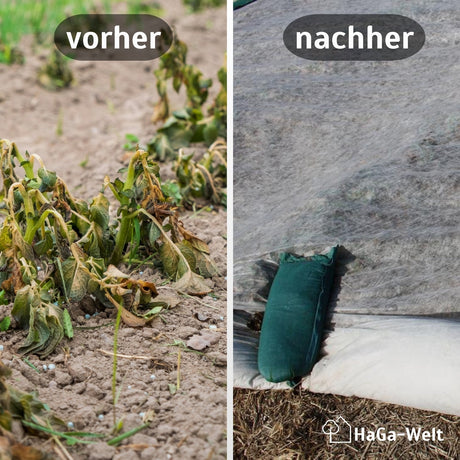 Erntevlies 30 g/m² Vergleich Vorher Nachher HaGa bei NOOR