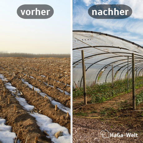 Gitterfolie Vergleich Vorher Nachher HaGa bei NOOR