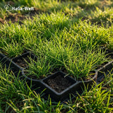 Kiesgitter – stabile Rasengitterplatten, schnell und einfach verlegt