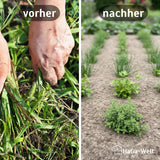 Mulchvlies aus Schafwolle – aus 100 % Schafwolle, biologisch abbaubar