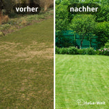 Rasenmatte Vergleich Vorher Nachher HaGa-Welt bei NOOR