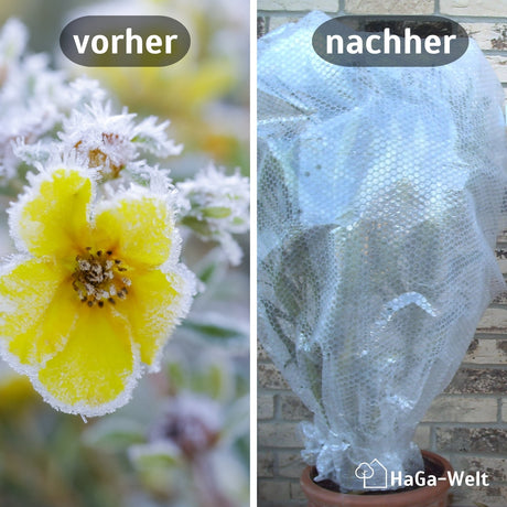 Thermofolie, mit Luftpolster Vergleich Vorher Nachher HaGa bei NOOR