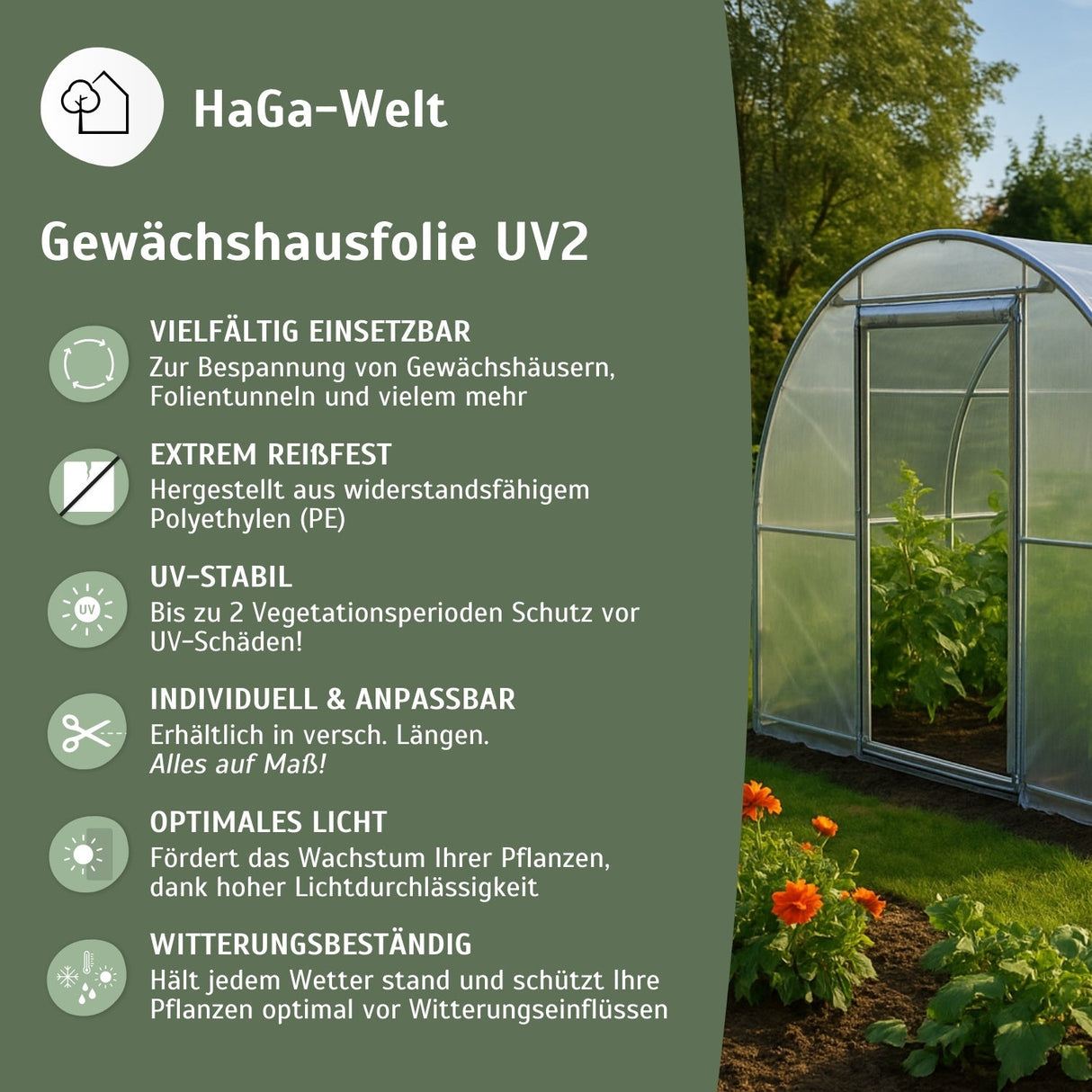 UV2 Gewächshausfolie – geeignet für Folientunnel und Gewächshäuser