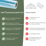 UV2 Gewächshausfolie – geeignet für Folientunnel und Gewächshäuser