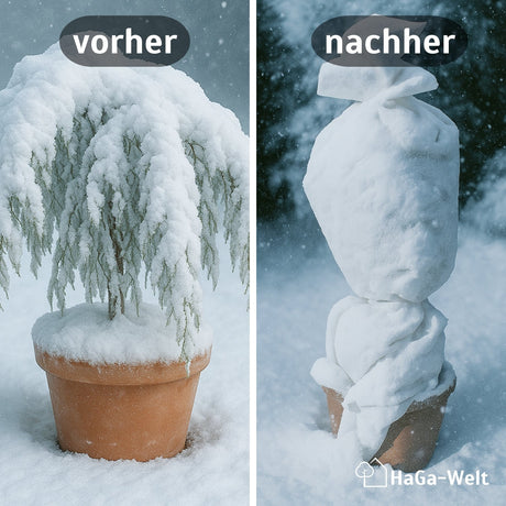 Wintervlies 80g/m² Vergleich Vorher Nachher HaGa bei NOOR