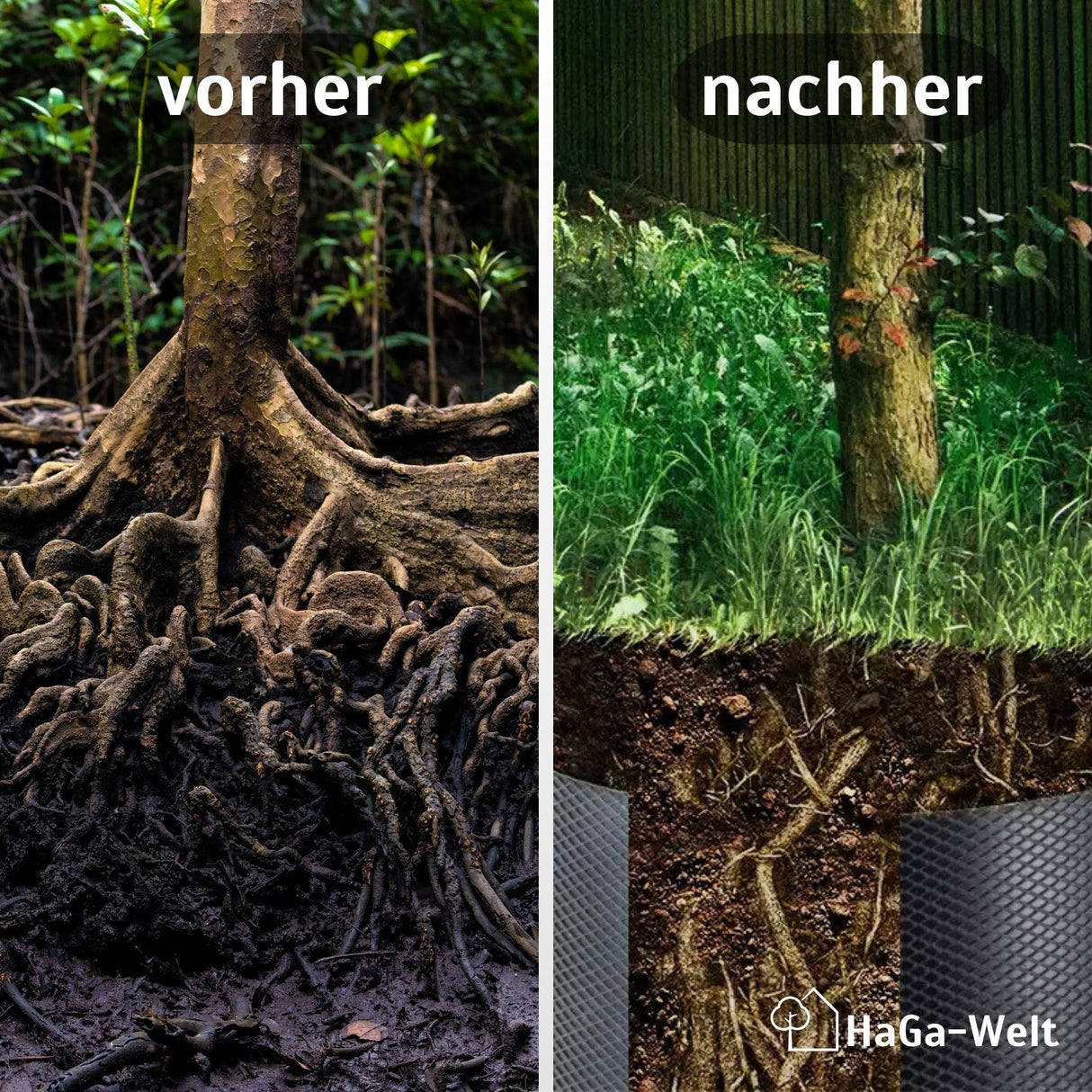 Wurzelsperre Vergleich Vorher Nachher HaGa-Welt bei NOOR