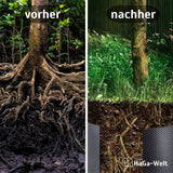Wurzelsperre Vergleich Vorher Nachher HaGa-Welt bei NOOR